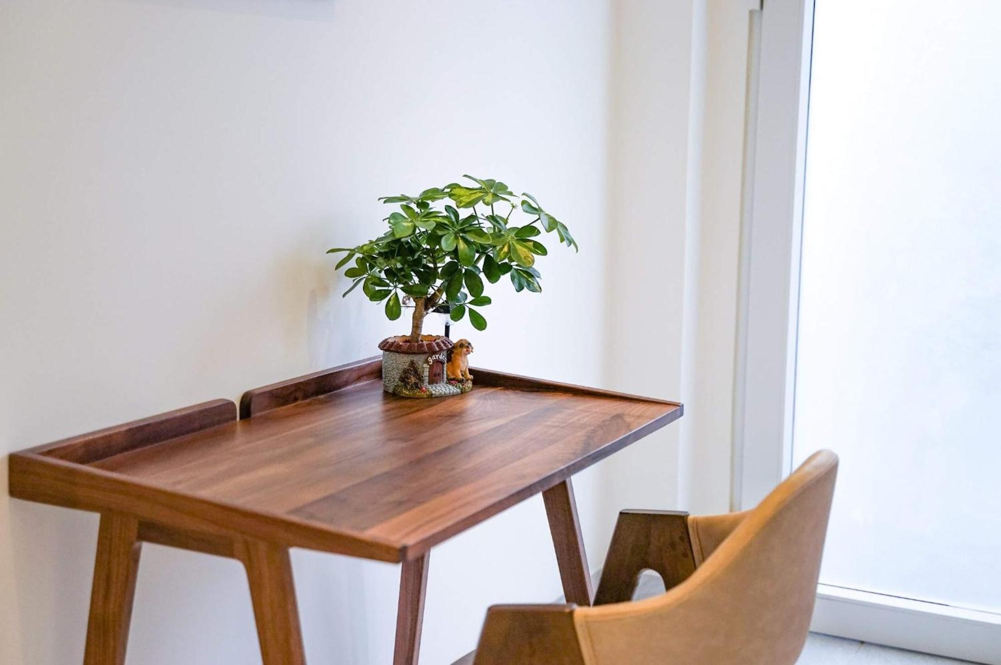Local White House - Ecofriendly Homestay Da Nang Exteriör bild
