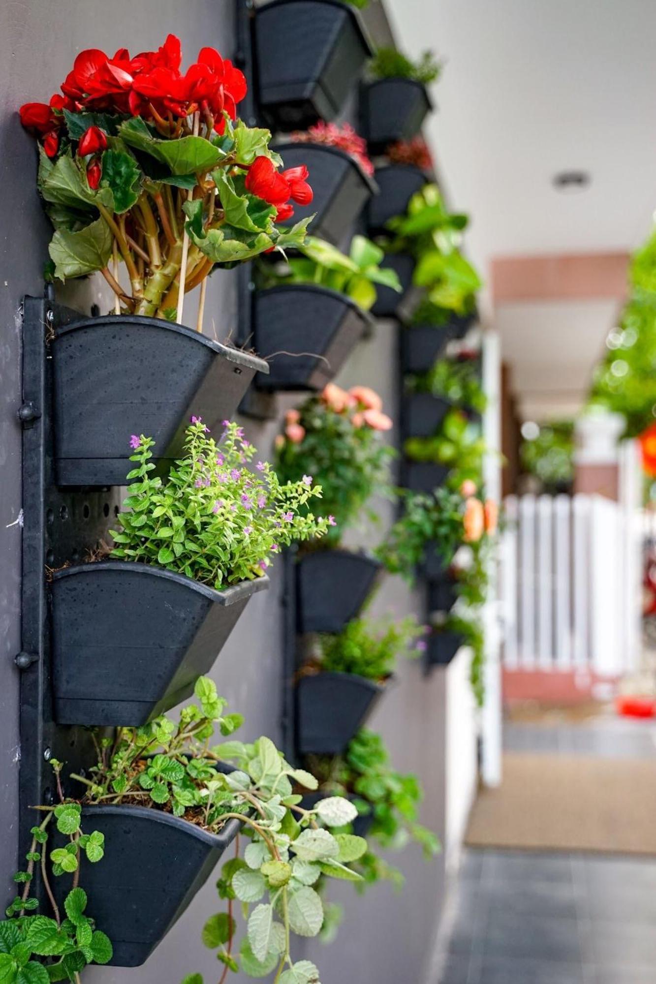 Local White House - Ecofriendly Homestay Da Nang Exteriör bild