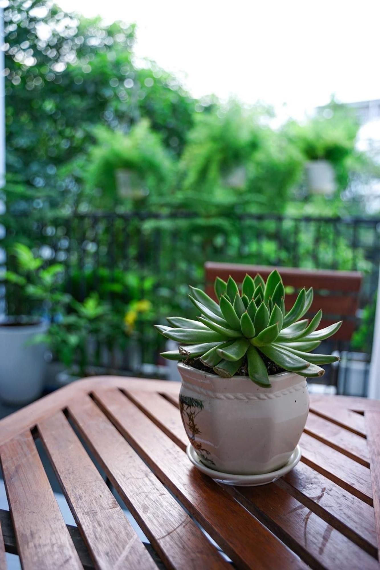 Local White House - Ecofriendly Homestay Da Nang Exteriör bild