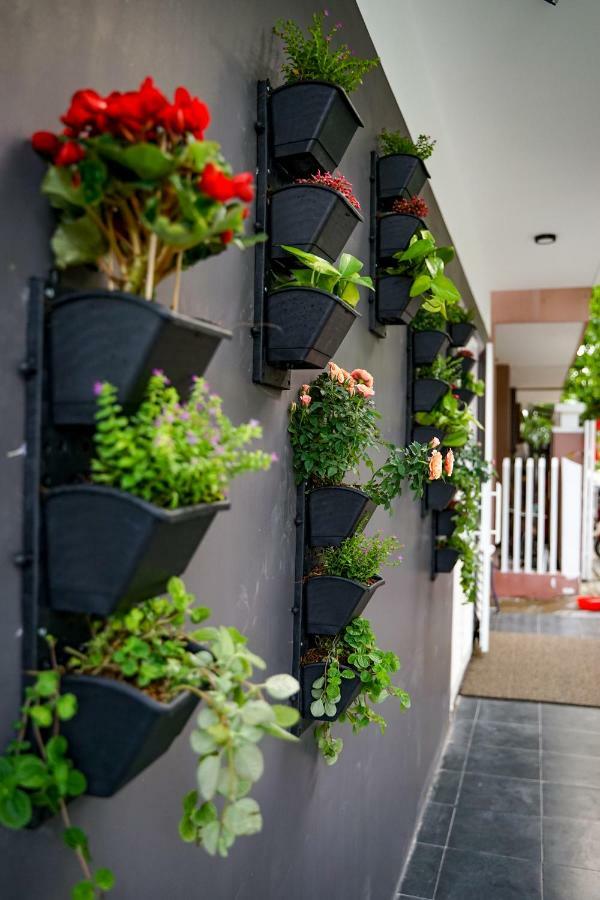 Local White House - Ecofriendly Homestay Da Nang Exteriör bild